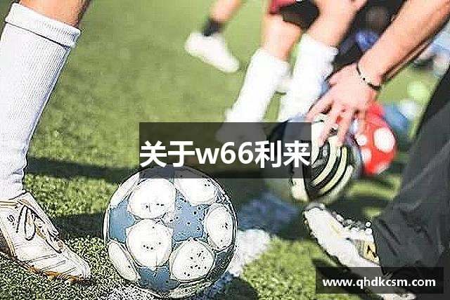 关于w66利来